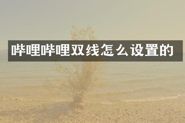 哔哩哔哩双线怎么设置的