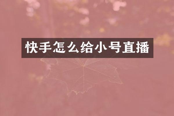 快手怎么给小号直播