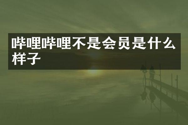 哔哩哔哩不是会员是什么样子