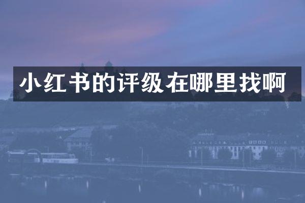小红书的评级在哪里找啊