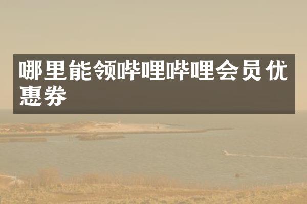 哪里能领哔哩哔哩会员优惠券