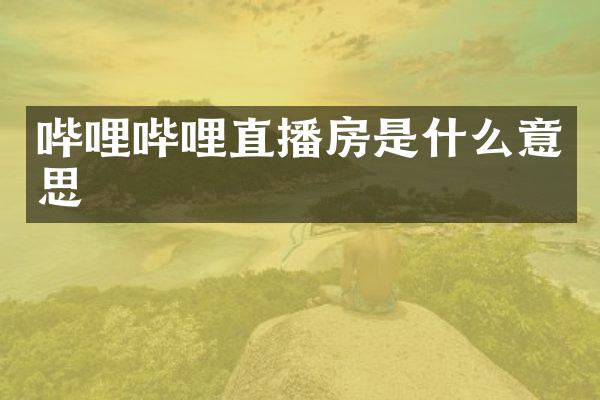 哔哩哔哩直播房是什么意思