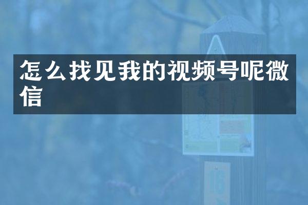 怎么找见我的视频号呢微信