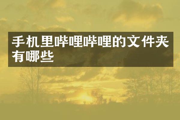 手机里哔哩哔哩的文件夹有哪些