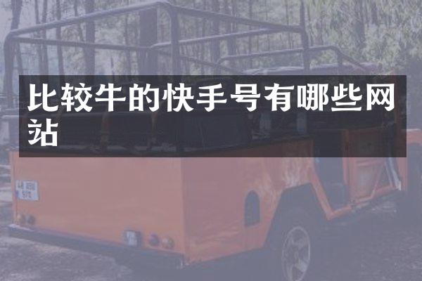 比较牛的快手号有哪些网站