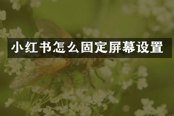 小红书怎么固定屏幕设置