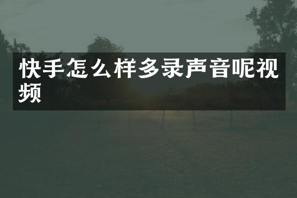 快手怎么样多录声音呢视频