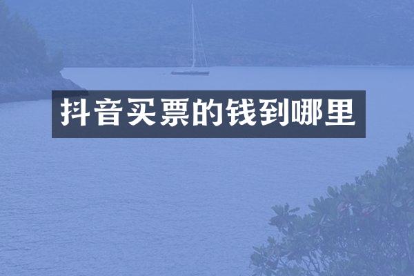 抖音买票的钱到哪里