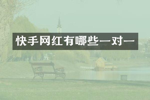 快手网红有哪些一对一