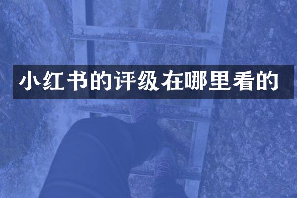 小红书的评级在哪里看的