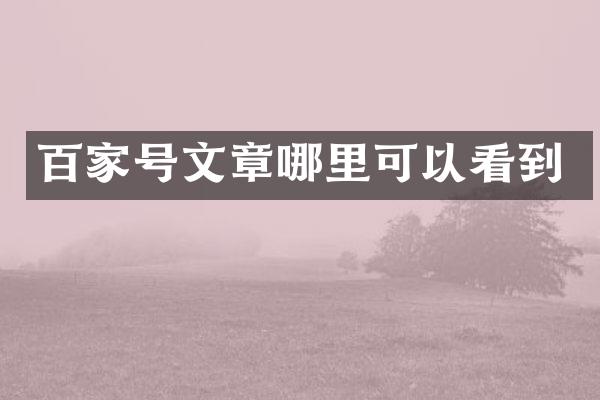 百家号文章哪里可以看到
