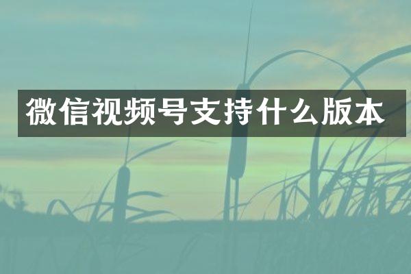 微信视频号支持什么版本