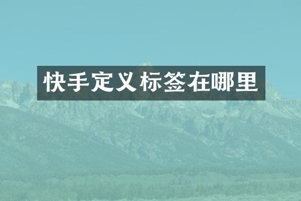 快手定义标签在哪里