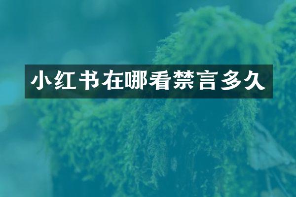 小红书在哪看禁言多久