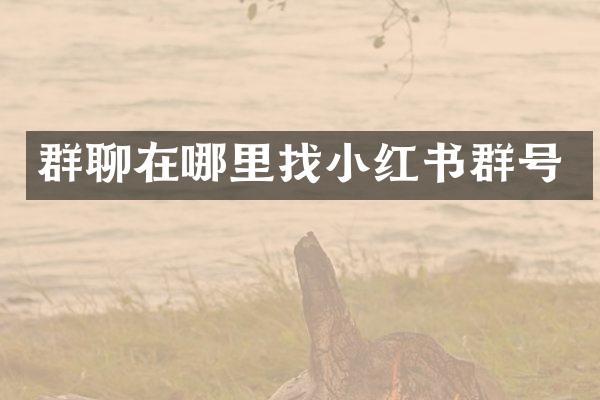 群聊在哪里红书群号
