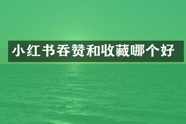小红书吞赞和收藏哪个好