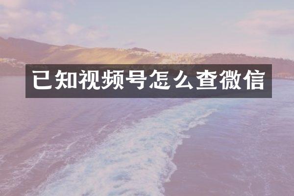 已知视频号怎么查微信