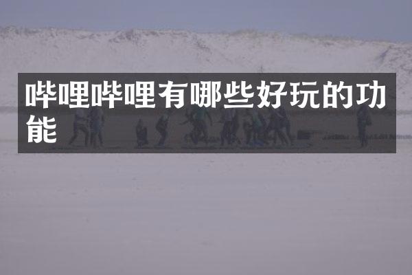 哔哩哔哩有哪些好玩的功能