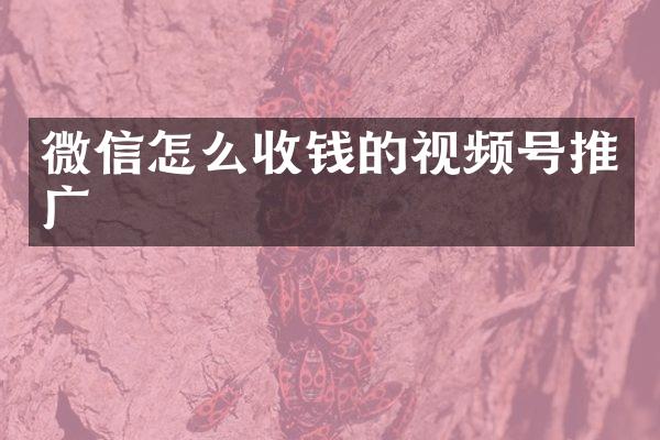 微信怎么收钱的视频号推广