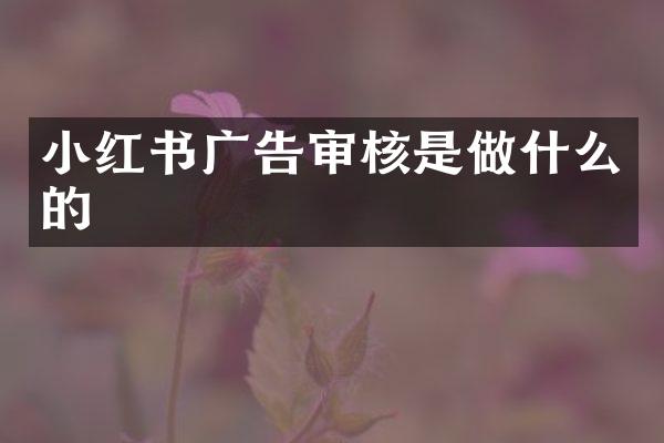 小红书广告审核是做什么的