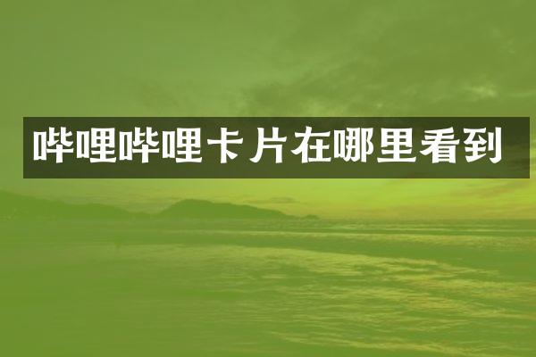 哔哩哔哩卡片在哪里看到