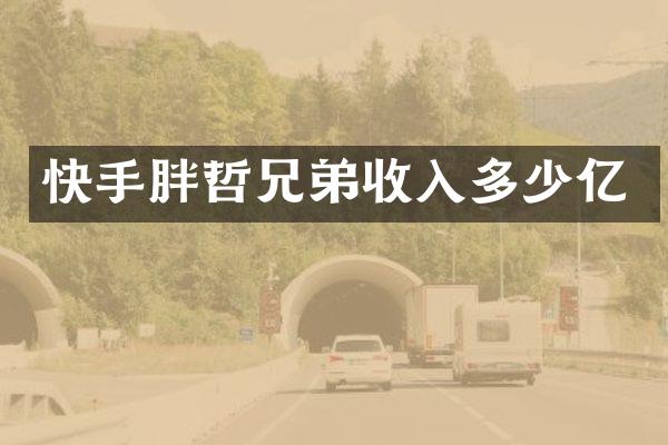 快手胖哲兄弟收入多少亿