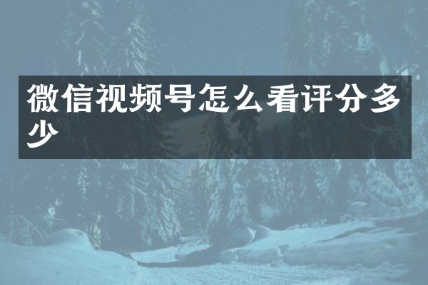 微信视频号怎么看评分多少
