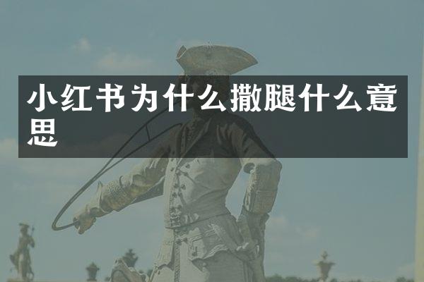小红书为什么撒腿什么意思