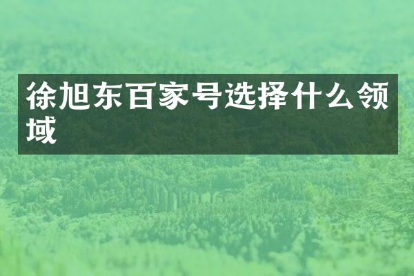 徐旭东百家号选择什么领域