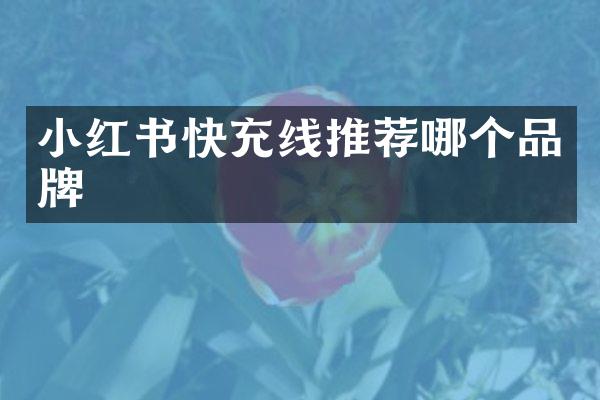 小红书快充线推荐哪个品牌