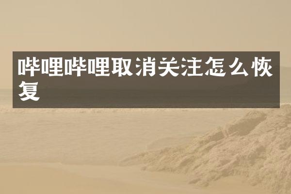 哔哩哔哩取消关注怎么恢复