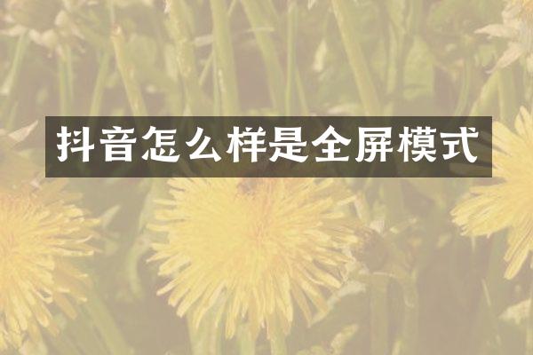 抖音怎么样是全屏模式