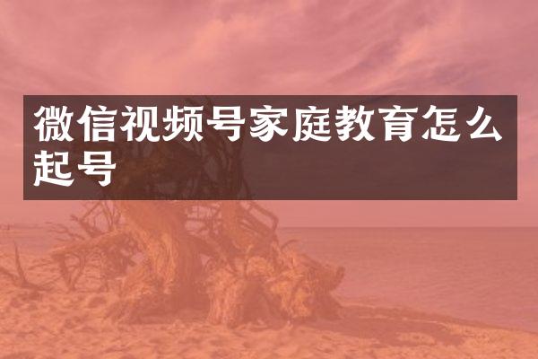 微信视频号家庭教育怎么起号