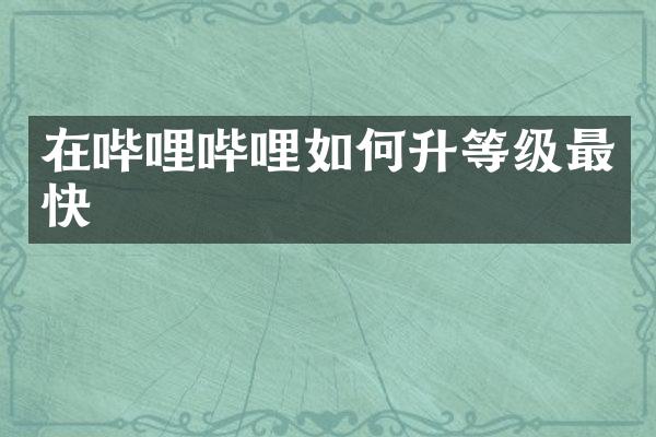 在哔哩哔哩如何升等级最快