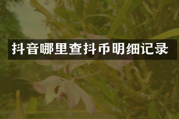 抖音哪里查抖币明细记录