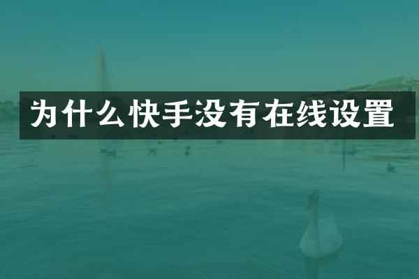 为什么快手没有在线设置