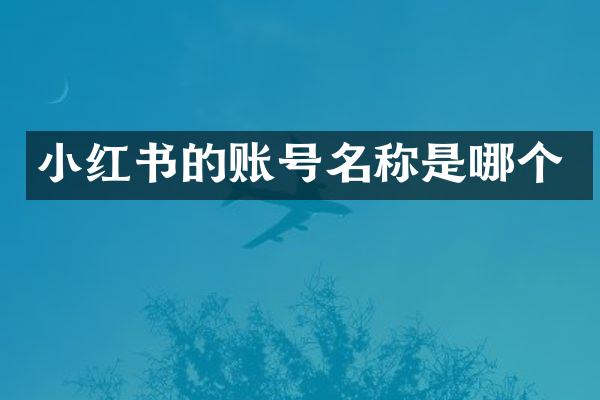 小红书的账号名称是哪个