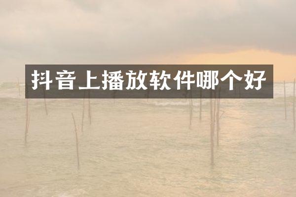抖音上播放软件哪个好