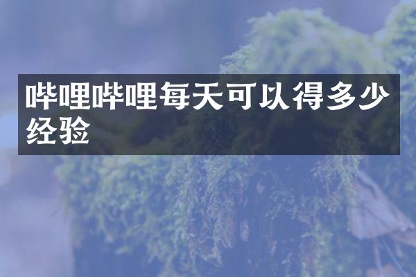 哔哩哔哩每天可以得多少经验