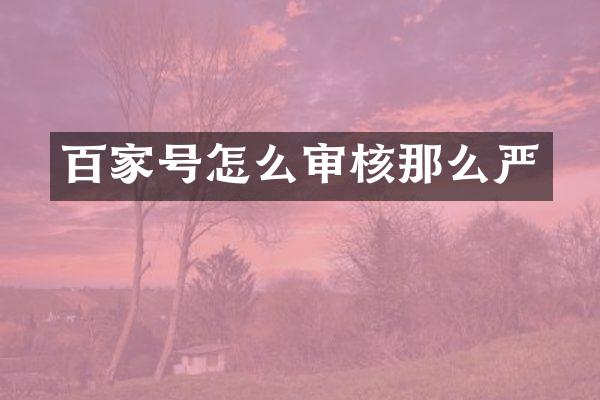 百家号怎么审核那么严
