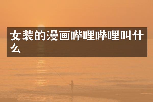 女装的漫画哔哩哔哩叫什么