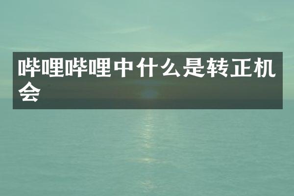 哔哩哔哩中什么是转正机会