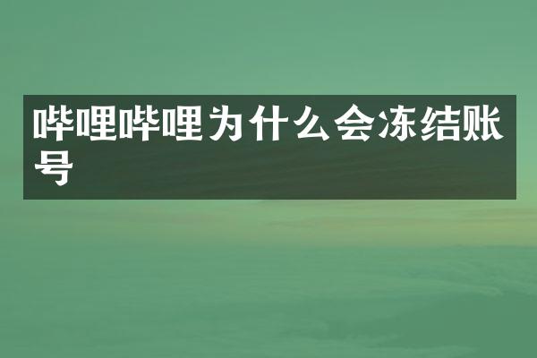 哔哩哔哩为什么会冻结账号