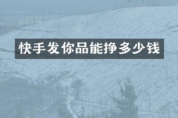 快手发你品能挣多少钱