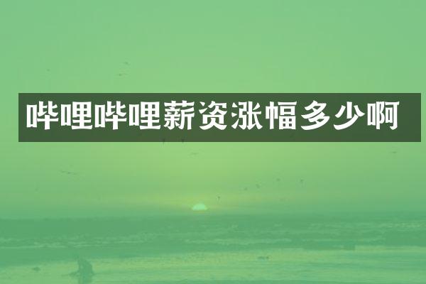 哔哩哔哩薪资涨幅多少啊