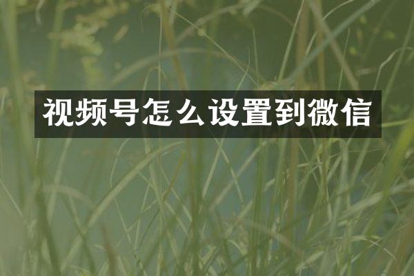 视频号怎么设置到微信