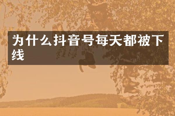 为什么抖音号每天都被下线