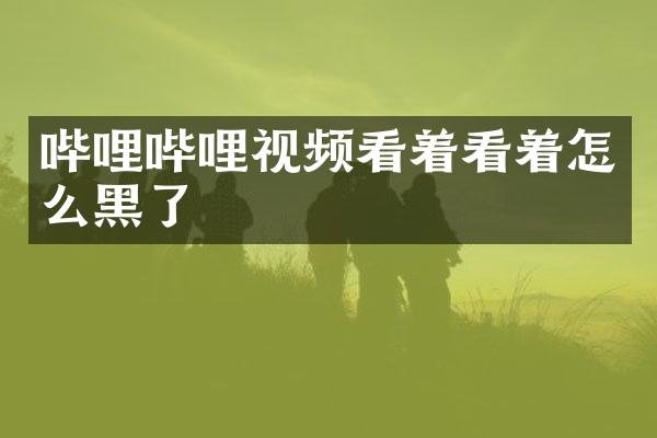哔哩哔哩视频看着看着怎么黑了