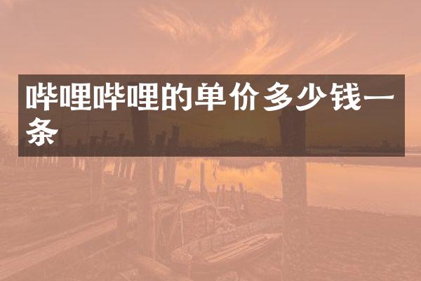 哔哩哔哩的单价多少钱一条