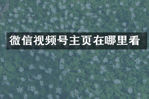 微信视频号主页在哪里看